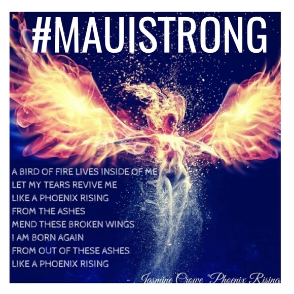 808. 🌺UNLISTED POSH LIVE SHOW🌺 - Picture 10 of 14